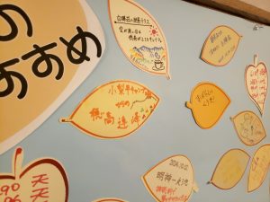 【秋の新企画】上高地のおすすめ教えて